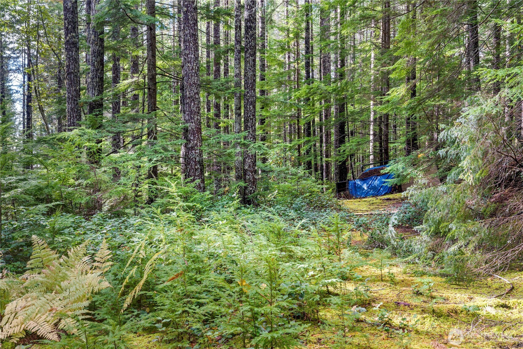 1350 N Hilltop Loop Road , Hoodsport, WA 98548