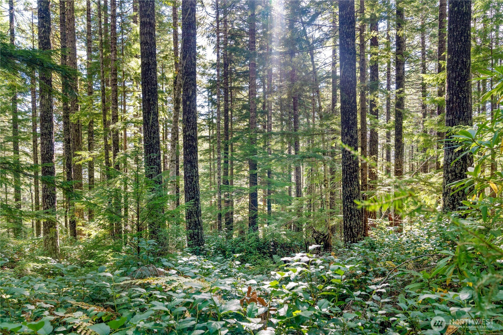 1350 N Hilltop Loop Road , Hoodsport, WA 98548