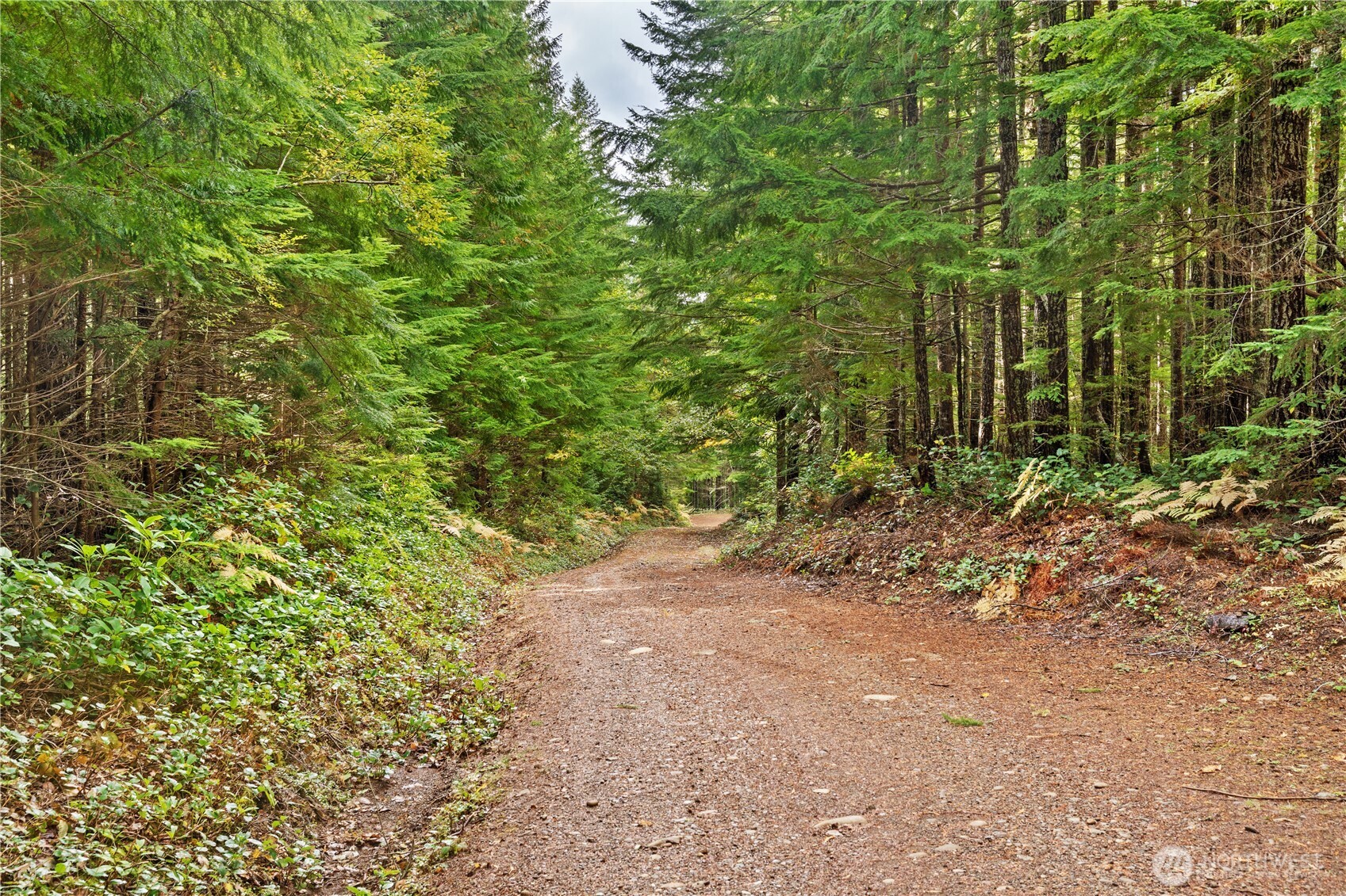 1350 N Hilltop Loop Road , Hoodsport, WA 98548