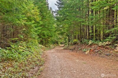 1350 N Hilltop Loop Road , Hoodsport, WA 98548 - Photo 16