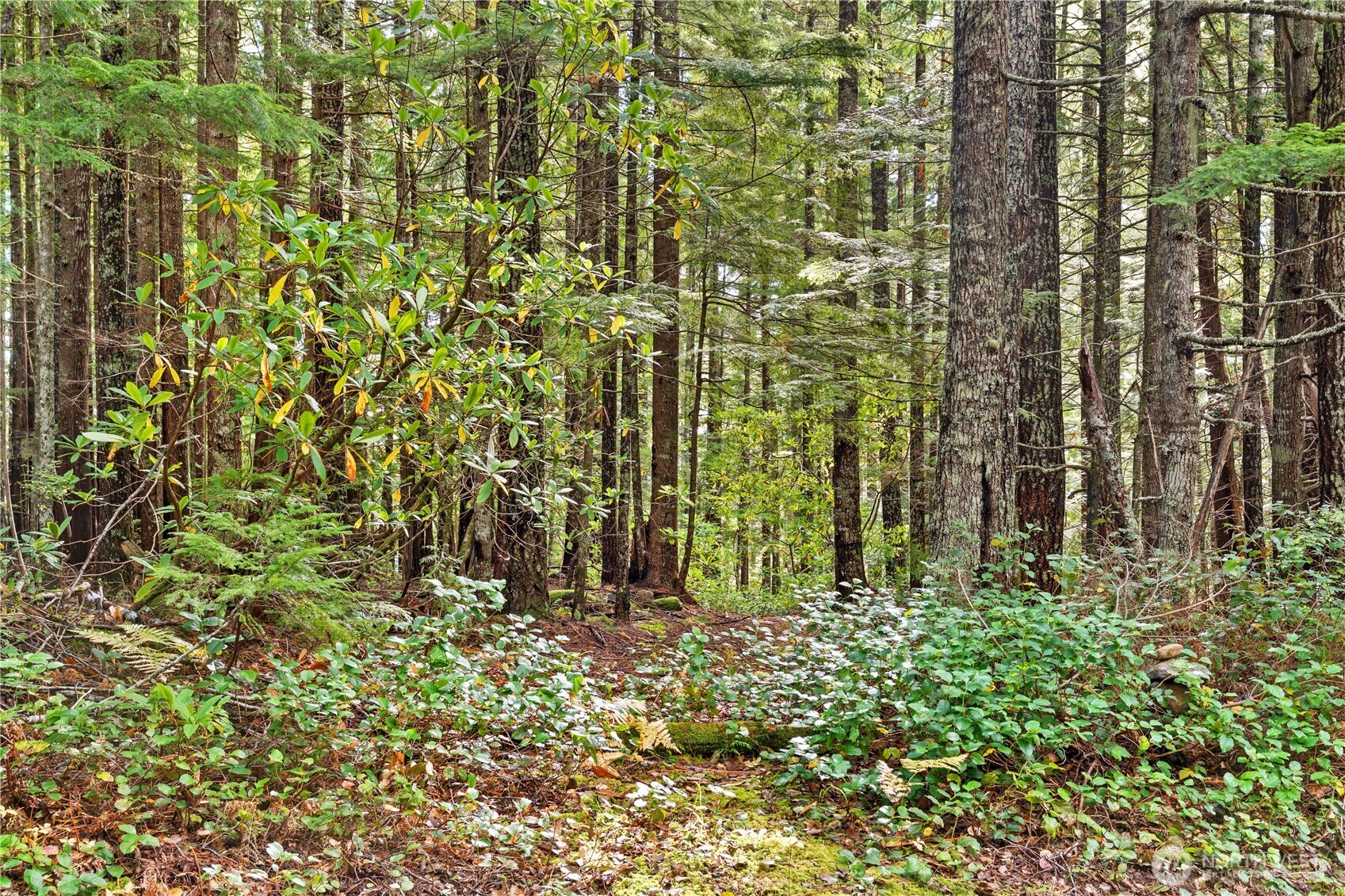 1350 N Hilltop Loop Road , Hoodsport, WA 98548