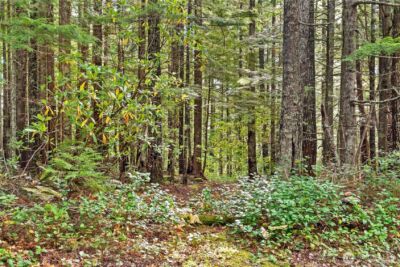 1350 N Hilltop Loop Road , Hoodsport, WA 98548 - Photo 17