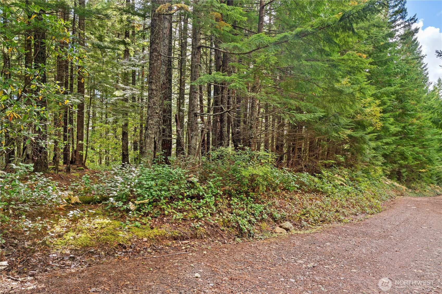 1350 N Hilltop Loop Road , Hoodsport, WA 98548