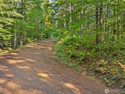 1350 N Hilltop Loop Road , Hoodsport, WA 98548 - Photo 19