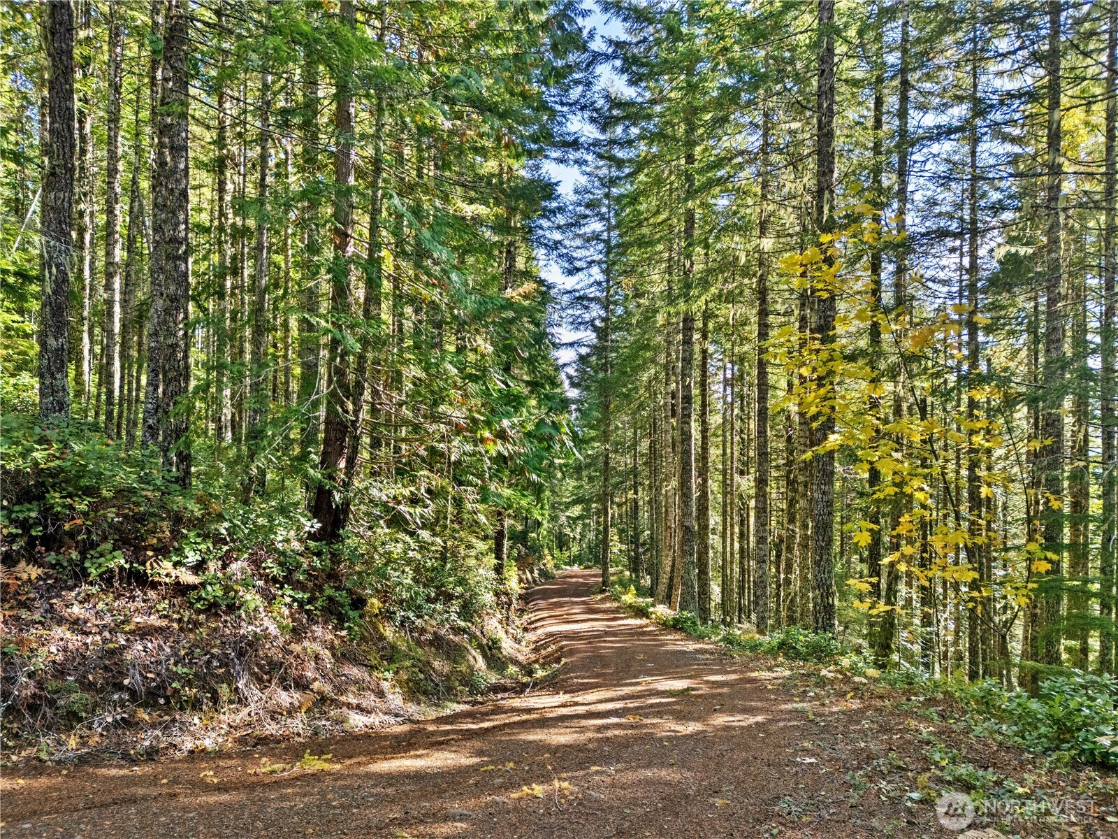 1350 N Hilltop Loop Road , Hoodsport, WA 98548