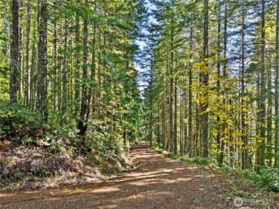 1350 N Hilltop Loop Road , Hoodsport, WA 98548 - Photo 20