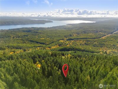 1350 N Hilltop Loop Road , Hoodsport, WA 98548 - Photo 2