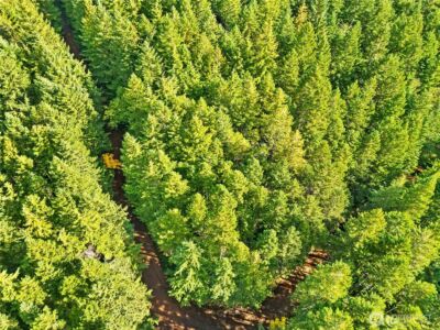 1350 N Hilltop Loop Road , Hoodsport, WA 98548 - Photo 21