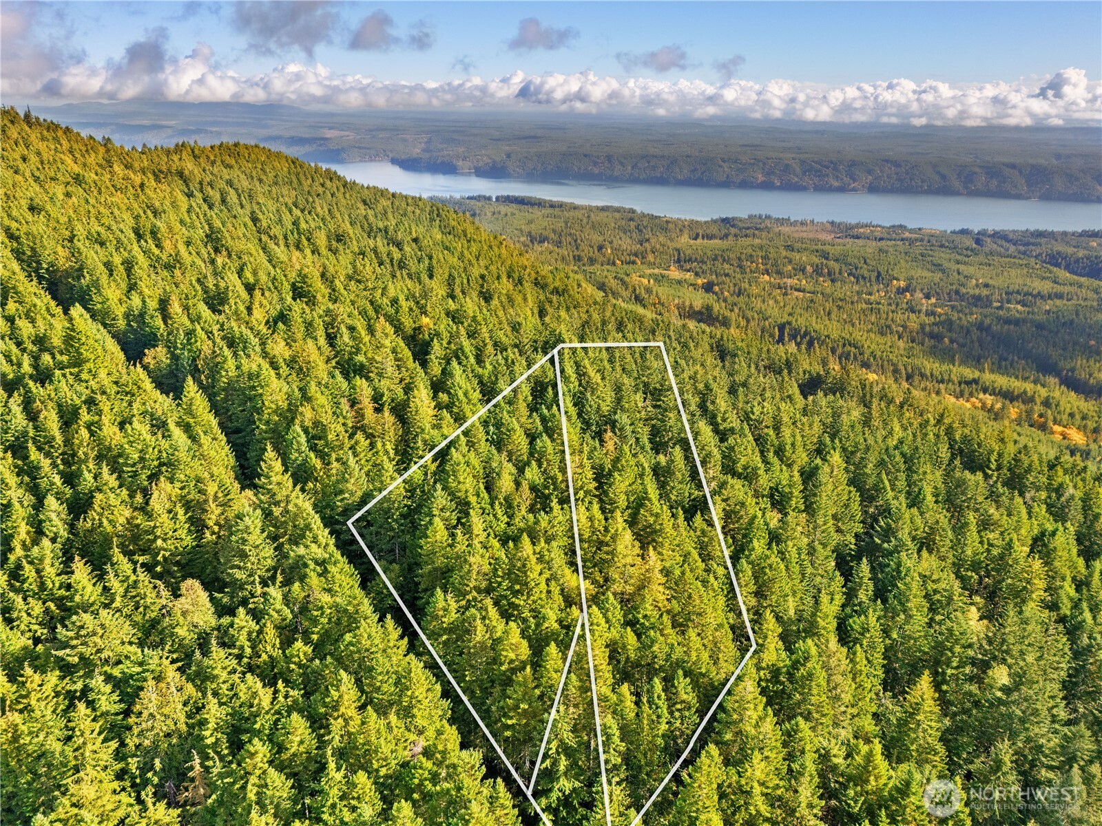 1350 N Hilltop Loop Road , Hoodsport, WA 98548