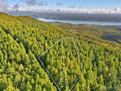 1350 N Hilltop Loop Road , Hoodsport, WA 98548 - Photo 22