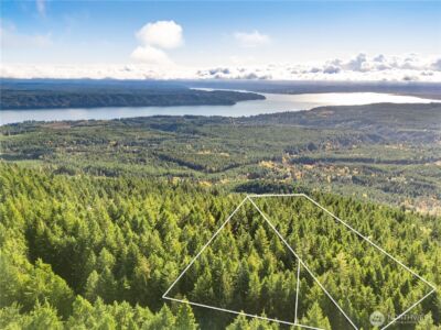 1350 N Hilltop Loop Road , Hoodsport, WA 98548 - Photo 23