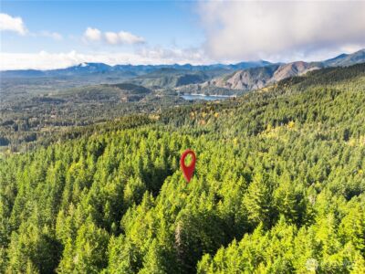 1350 N Hilltop Loop Road , Hoodsport, WA 98548 - Photo 25