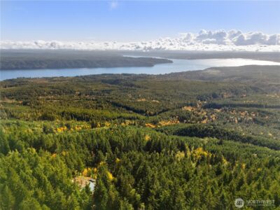 1350 N Hilltop Loop Road , Hoodsport, WA 98548 - Photo 27