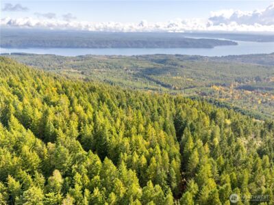 1350 N Hilltop Loop Road , Hoodsport, WA 98548 - Photo 28