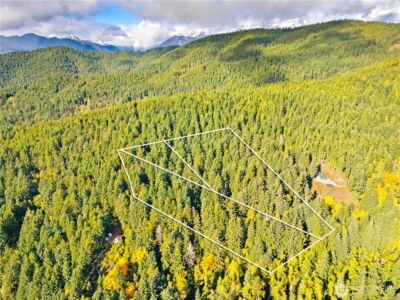 1350 N Hilltop Loop Road , Hoodsport, WA 98548 - Photo 29