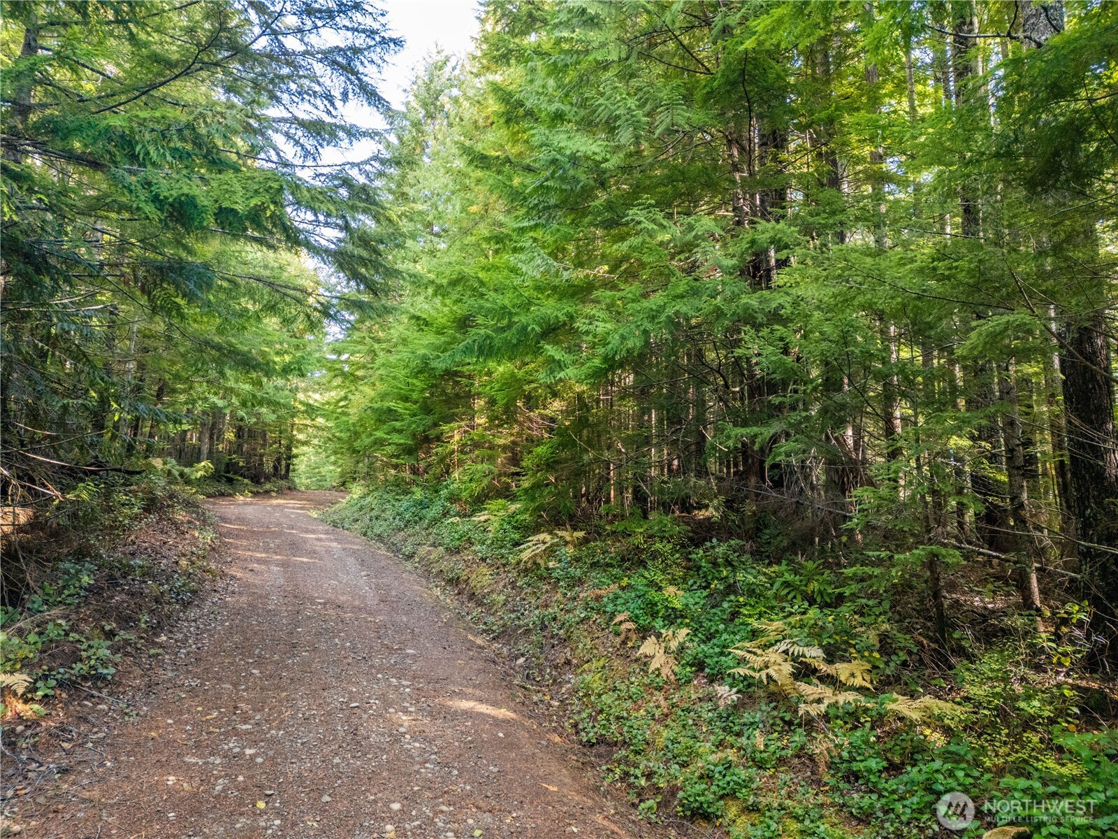 1350 N Hilltop Loop Road , Hoodsport, WA 98548