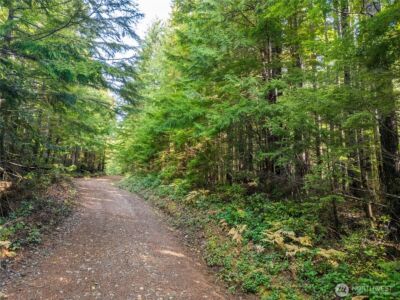 1350 N Hilltop Loop Road , Hoodsport, WA 98548 - Photo 4