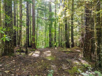 1350 N Hilltop Loop Road , Hoodsport, WA 98548 - Photo 5