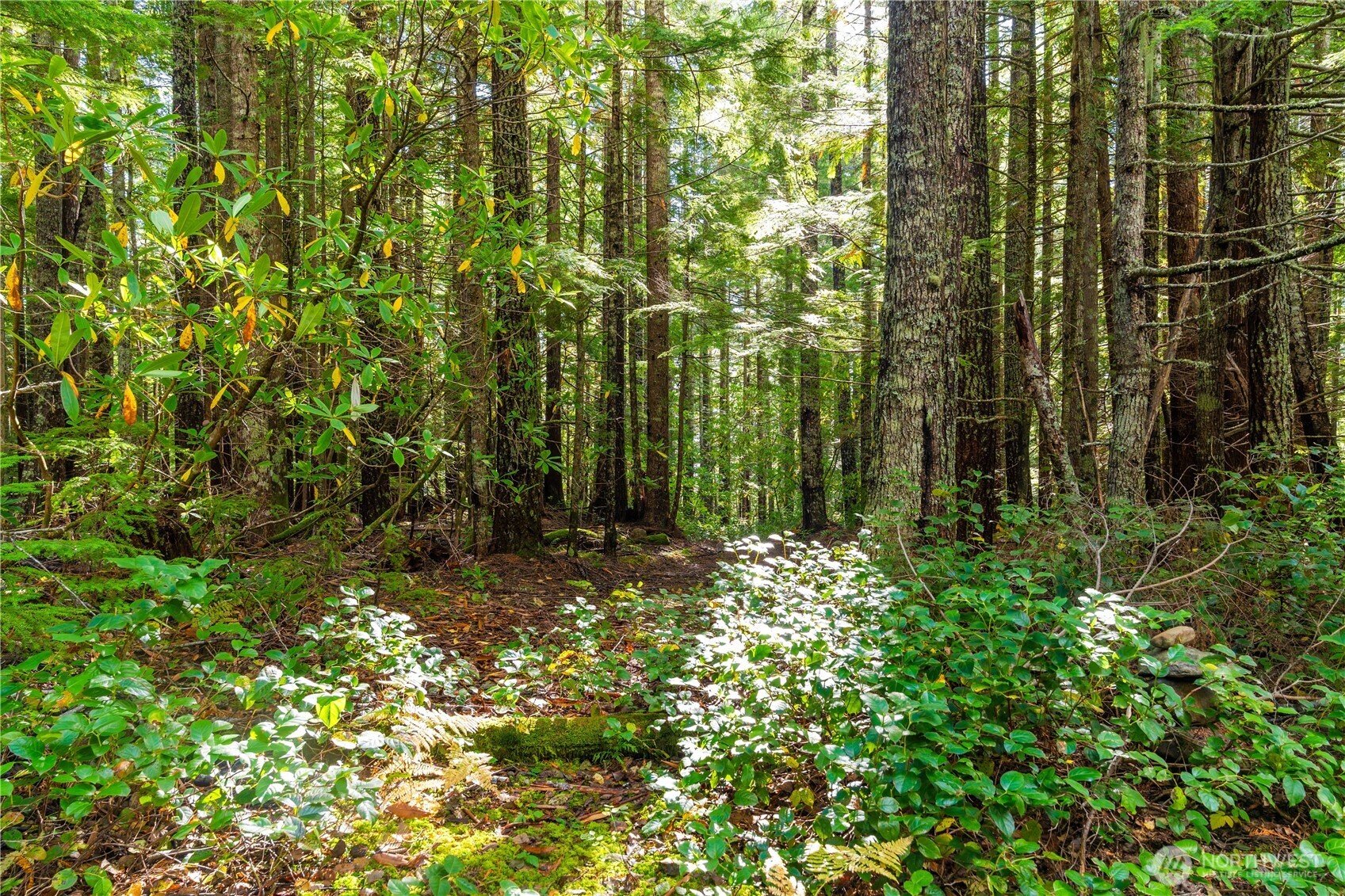 1350 N Hilltop Loop Road , Hoodsport, WA 98548