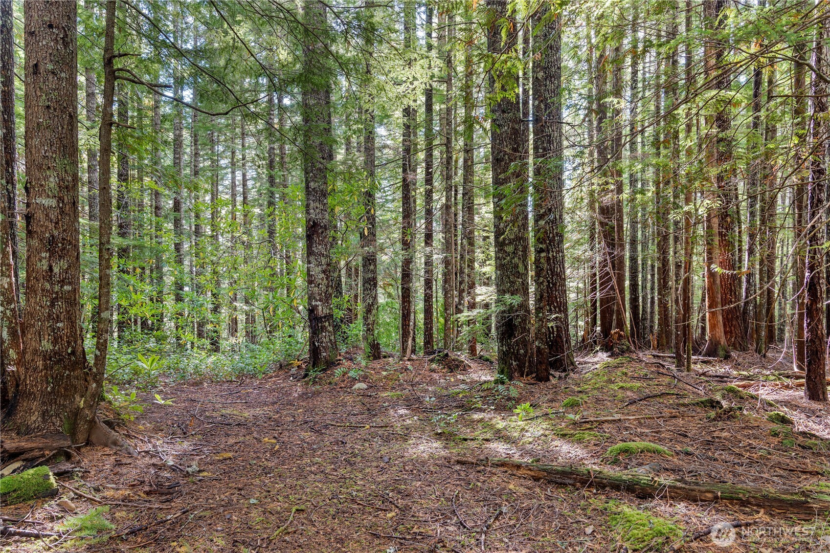 1350 N Hilltop Loop Road , Hoodsport, WA 98548