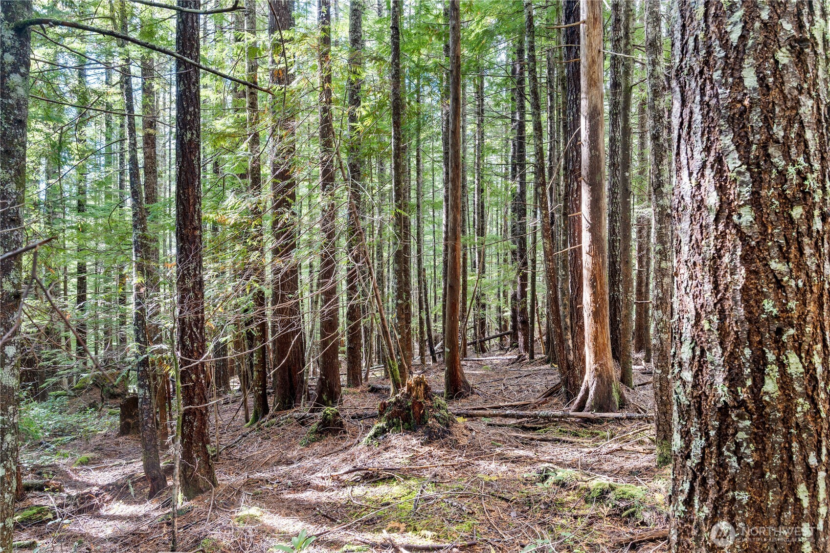 1350 N Hilltop Loop Road , Hoodsport, WA 98548