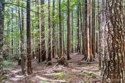 1350 N Hilltop Loop Road , Hoodsport, WA 98548 - Photo 8