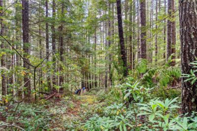 1350 N Hilltop Loop Road , Hoodsport, WA 98548 - Photo 9