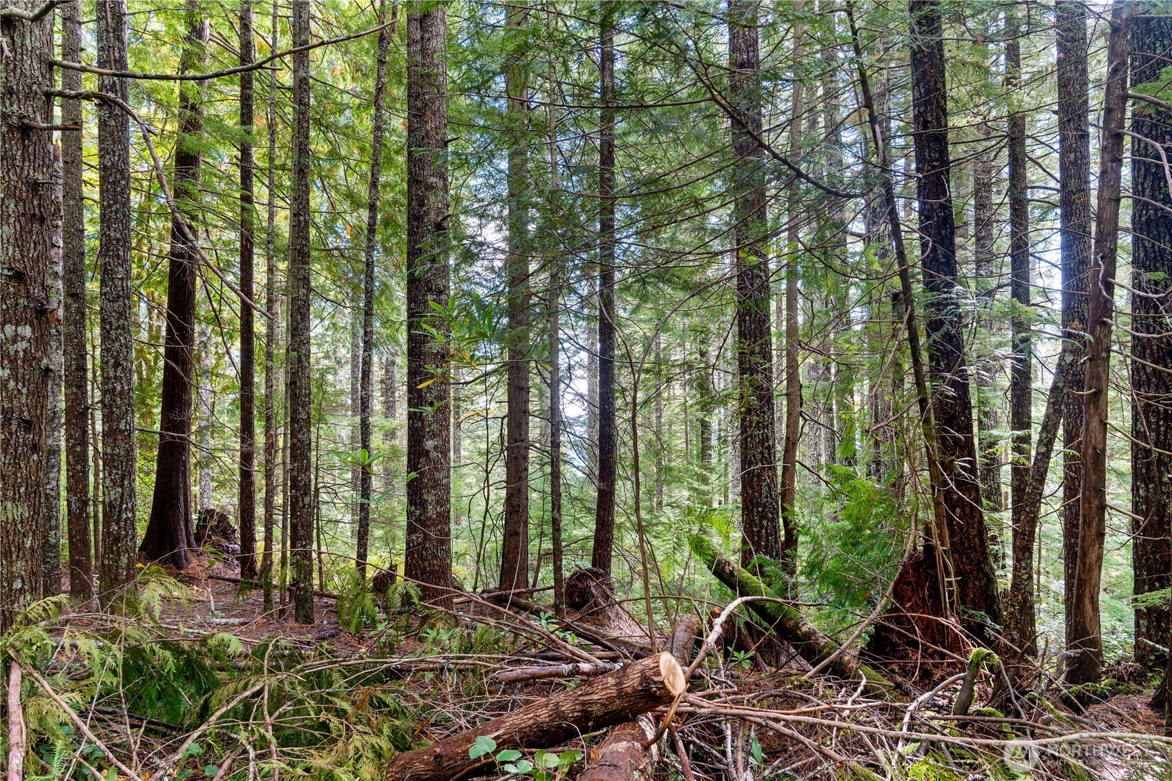 1350 N Hilltop Loop Road , Hoodsport, WA 98548