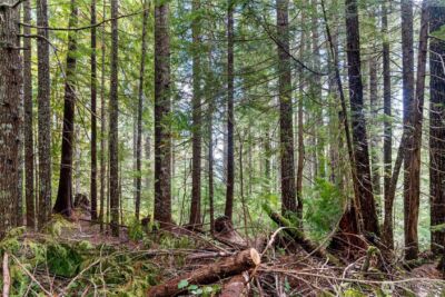 1350 N Hilltop Loop Road , Hoodsport, WA 98548 - Photo 10