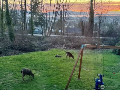 2603 Vining Street , Bellingham, WA 98226 - Photo 39