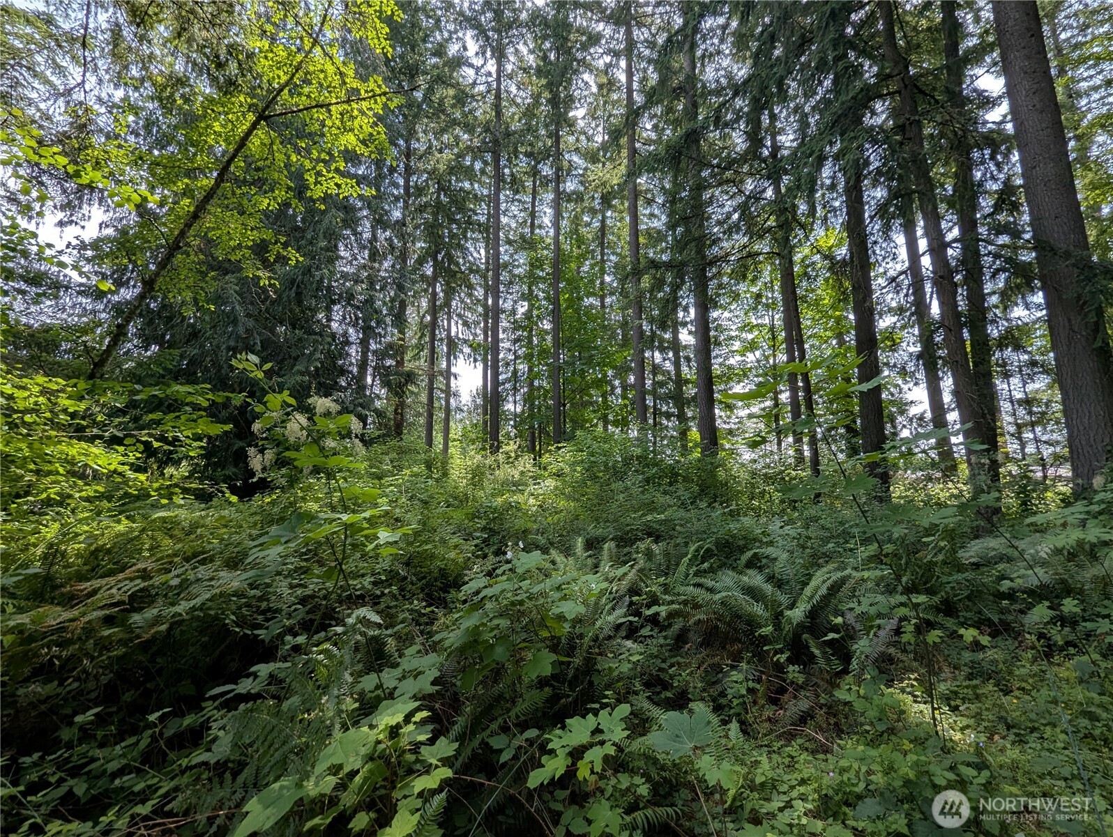 4522 Intelco Loop SE, Lacey, WA 98503