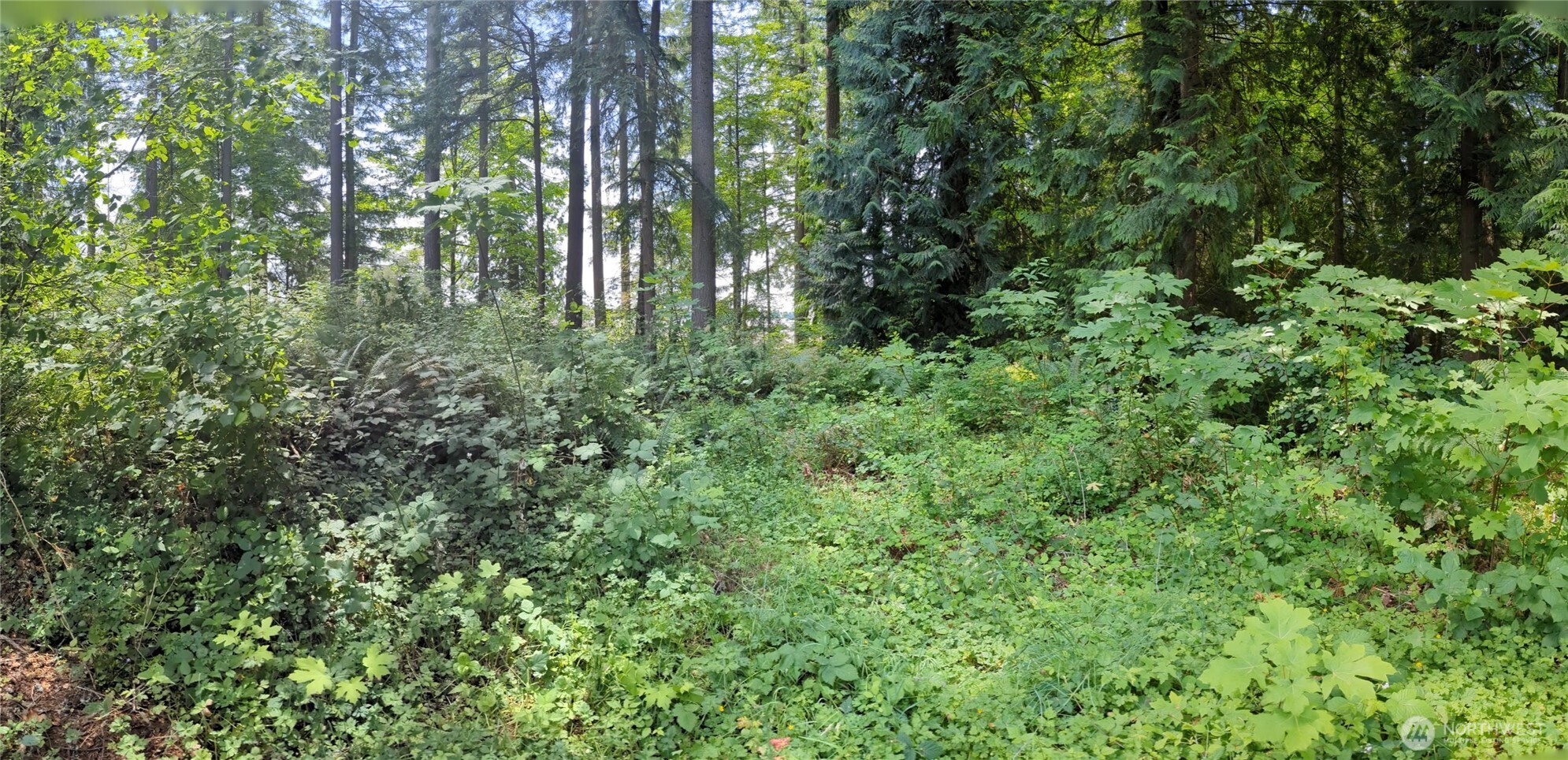 4522 Intelco Loop SE, Lacey, WA 98503