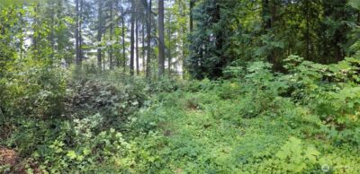 4522 Intelco Loop SE, Lacey, WA 98503 - Photo 4