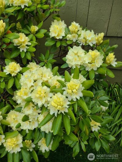 1912 Elliott Avenue NW, Olympia, WA 98502 - Photo 32