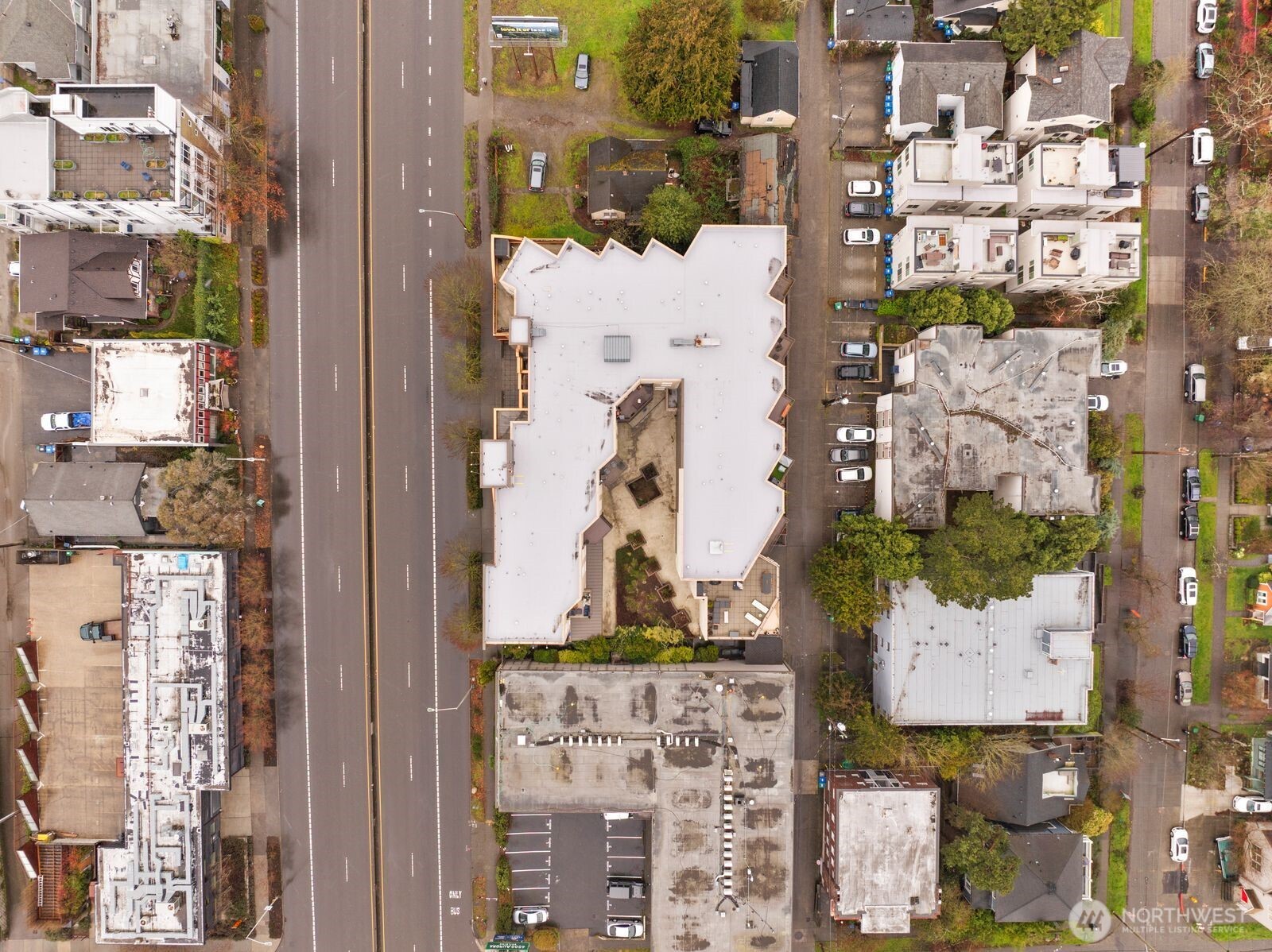 4020 Aurora Avenue N #204, Seattle, WA 98103-7880