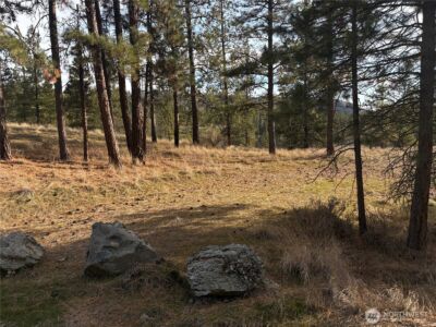 2 Mist Lake Road , Tonasket, WA 98855 - Photo 1