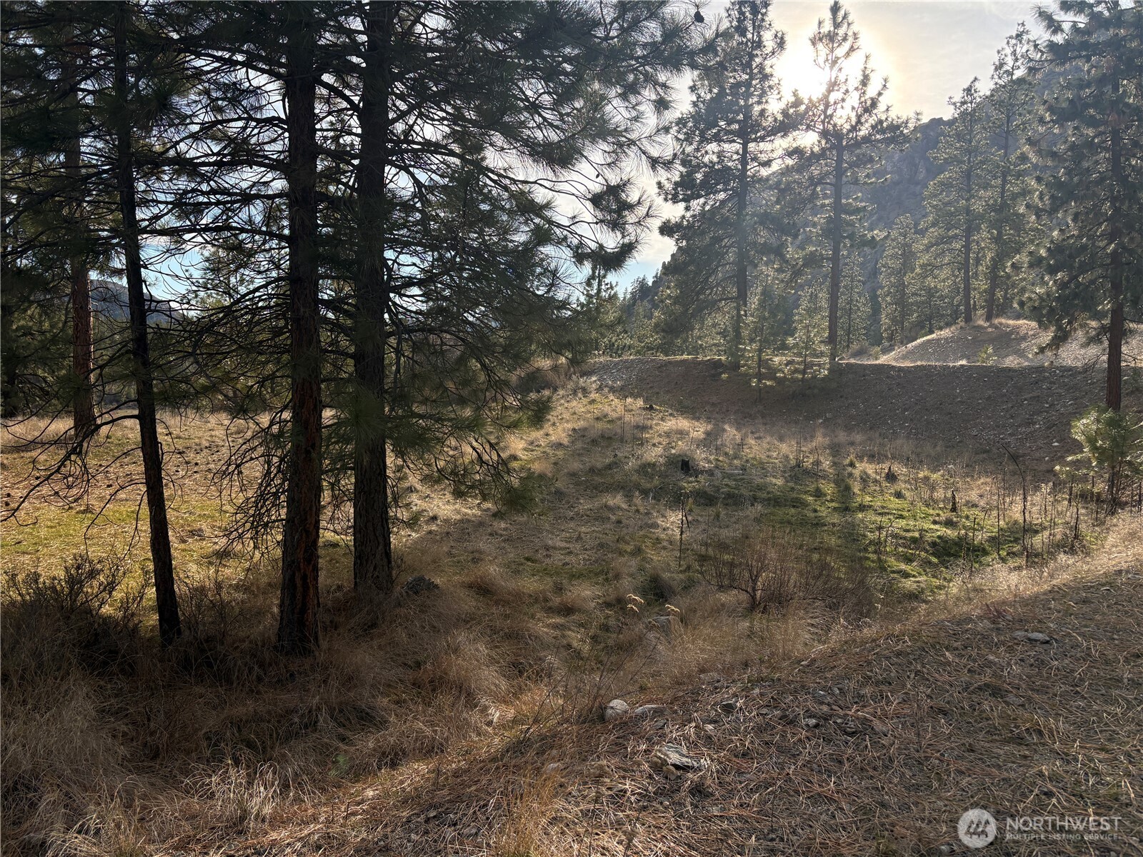 2 Mist Lake Road , Tonasket, WA 98855