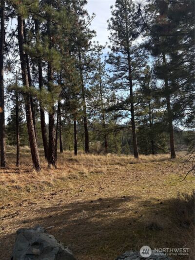 2 Mist Lake Road , Tonasket, WA 98855 - Photo 3