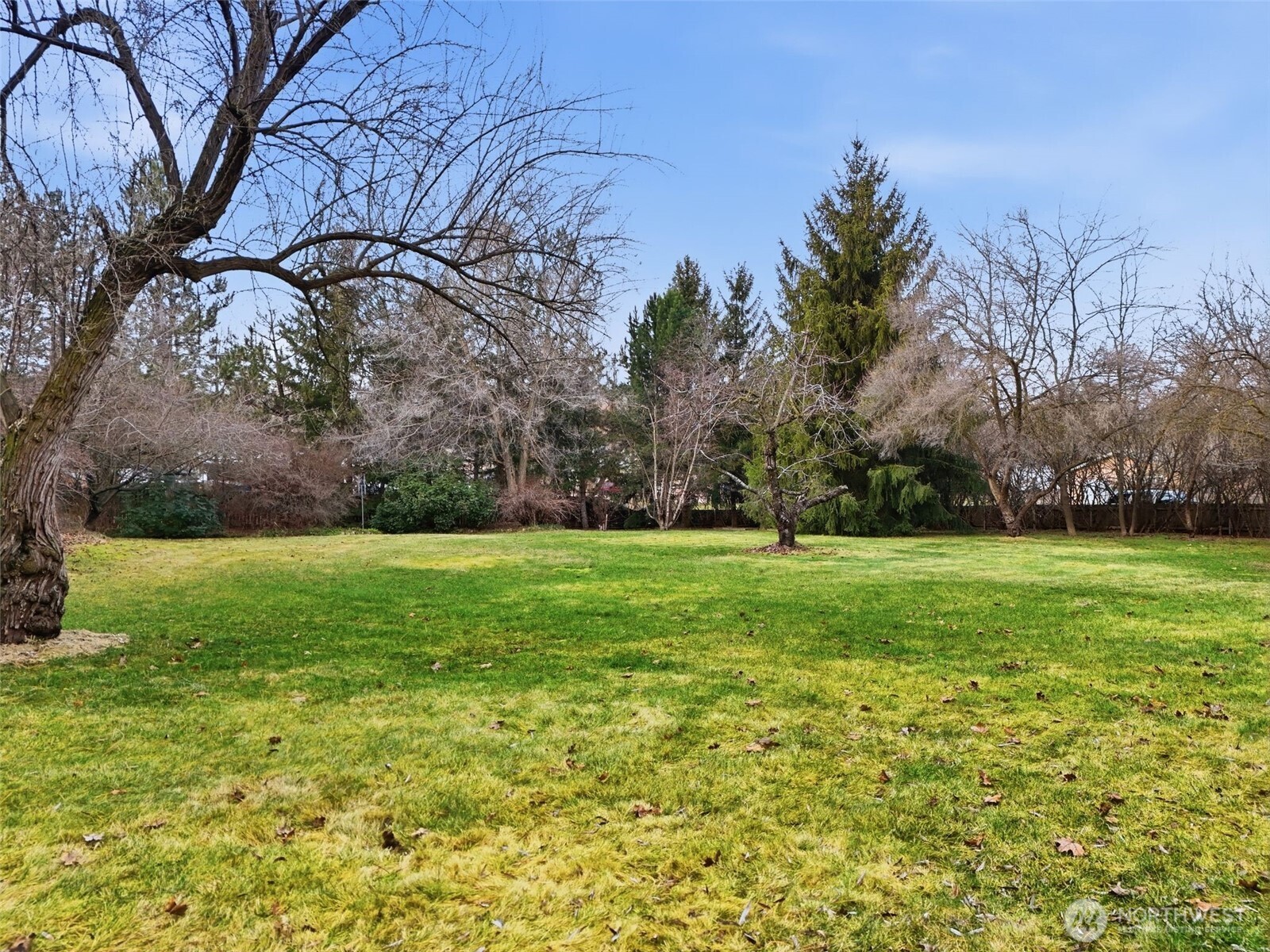 1703 W 25th Avenue , Spokane, WA 99224