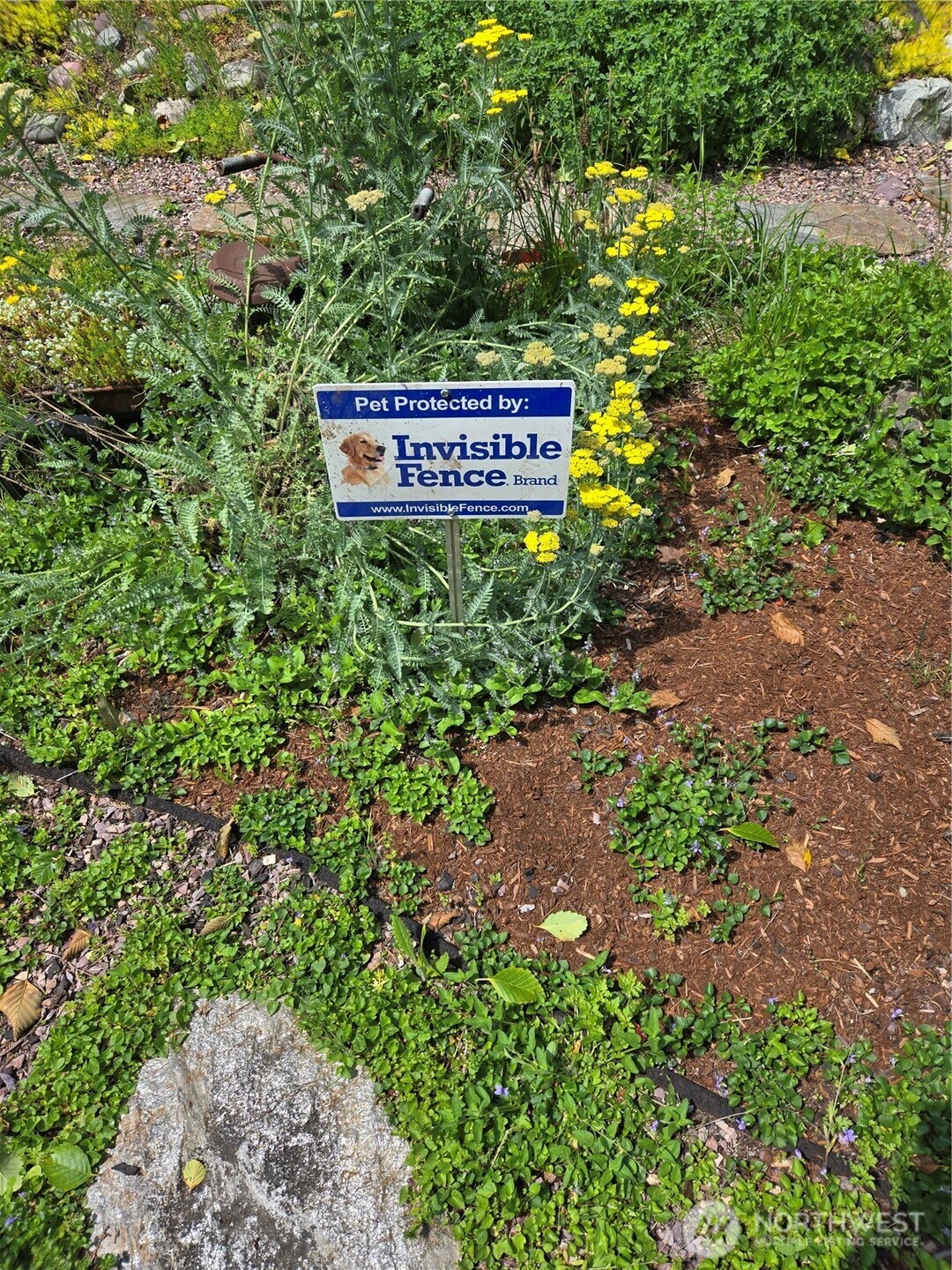 14226 189th Avenue E, Bonney Lake, WA 98391