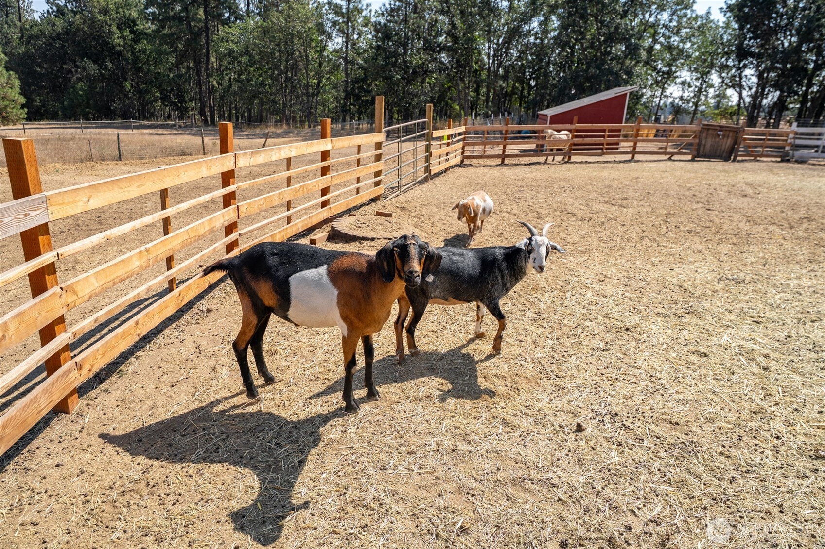 2147 Glenwood Highway , Goldendale, WA 98620