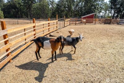 2147 Glenwood Highway , Goldendale, WA 98620 - Photo 26