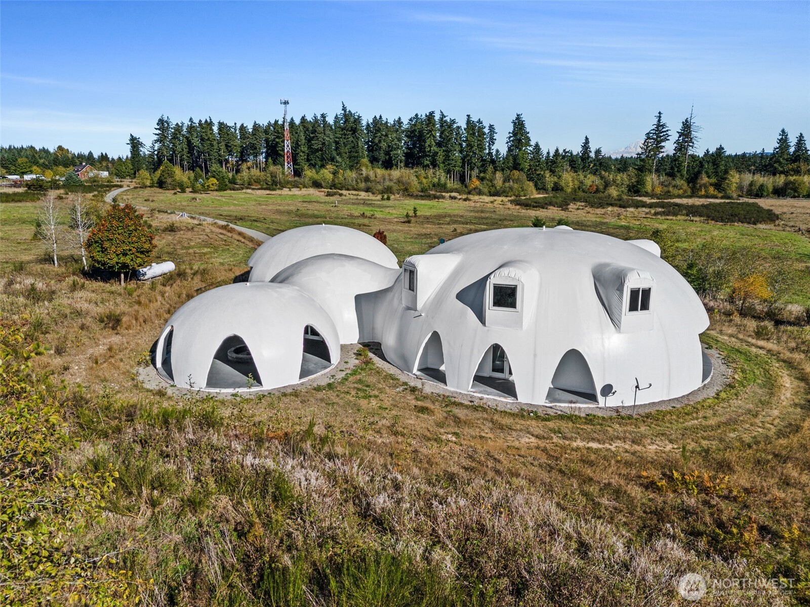 15115 Labrador Lane SW, Rochester, WA 98579