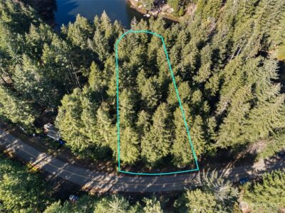 431 NE Collins Lake Drive , Tahuya, WA 98588 - Photo 1