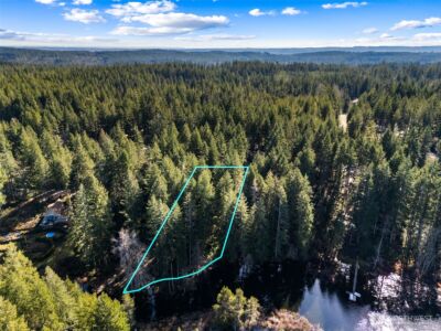 431 NE Collins Lake Drive , Tahuya, WA 98588 - Photo 11