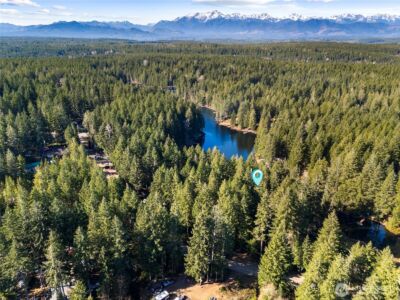 431 NE Collins Lake Drive , Tahuya, WA 98588 - Photo 15