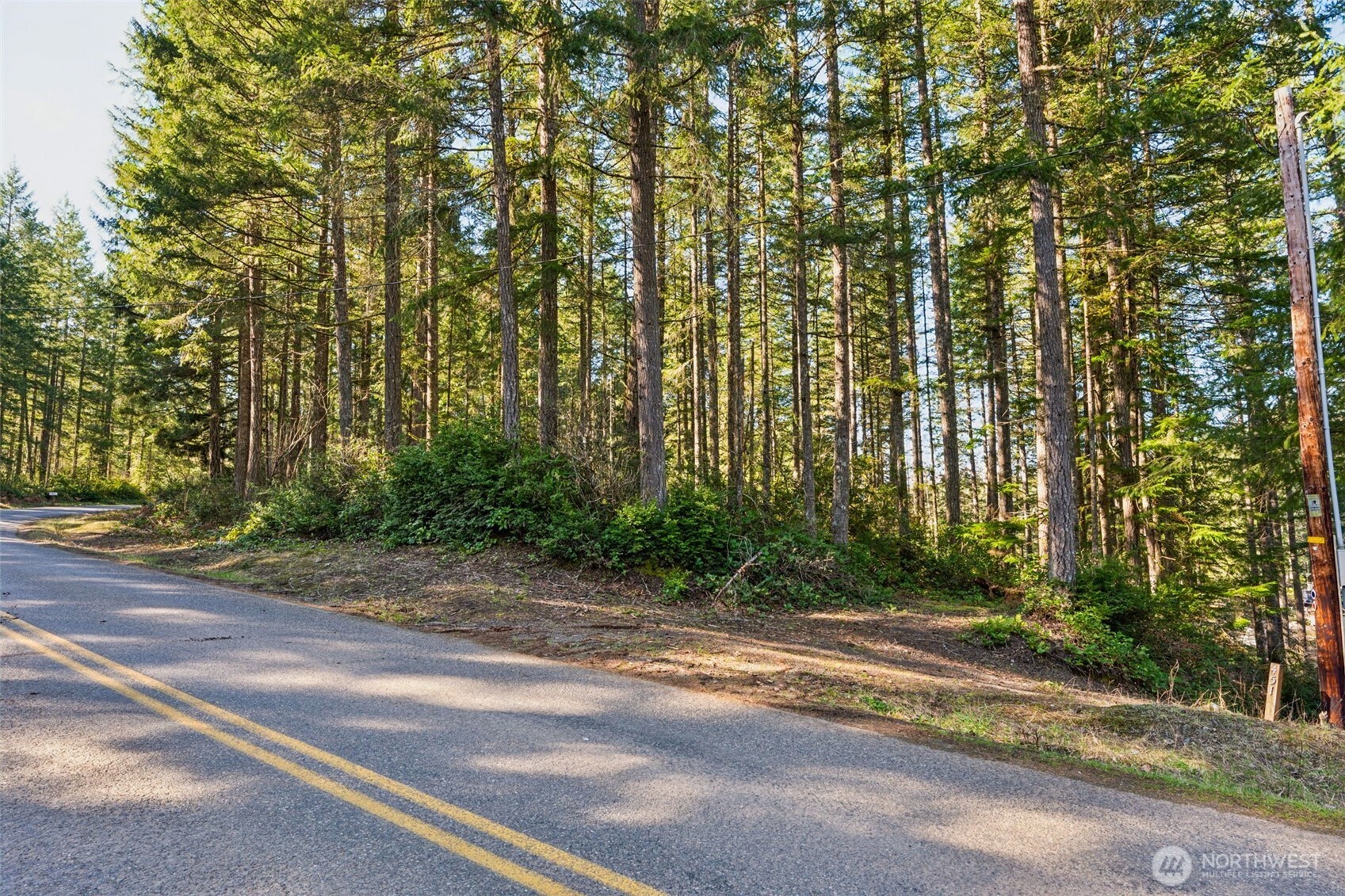 431 NE Collins Lake Drive , Tahuya, WA 98588