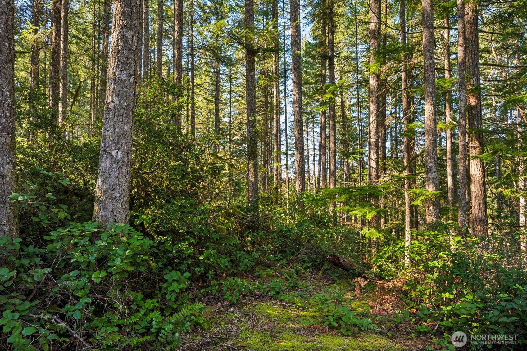 431 NE Collins Lake Drive , Tahuya, WA 98588