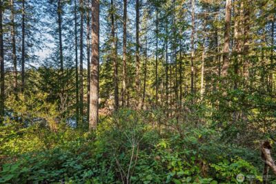 431 NE Collins Lake Drive , Tahuya, WA 98588 - Photo 19