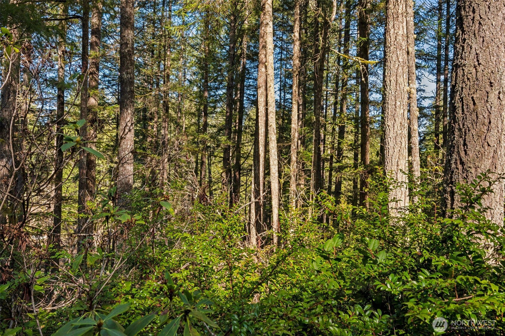 431 NE Collins Lake Drive , Tahuya, WA 98588